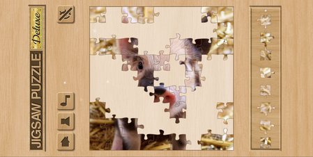 Jigsaw Puzzle Deluxe - Screenshot